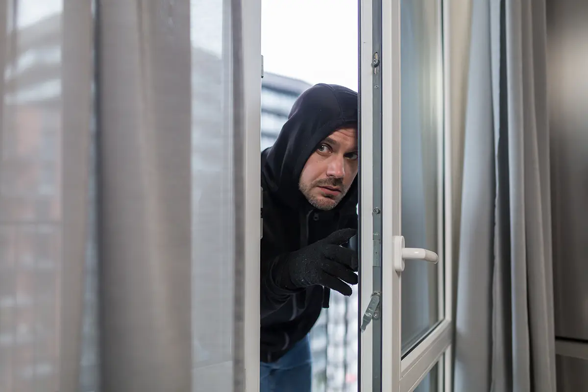 Understand How Burglars Operate To Protect Yourself